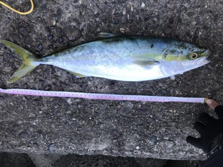 シーズン終了間近！お急ぎ下さい