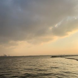 探り釣りとタンコブゲーム