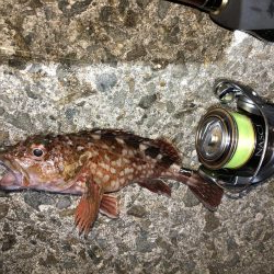 寒さがまだマシ！