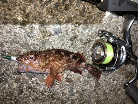 寒さがまだマシ！