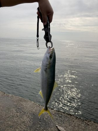 満足の釣り納め