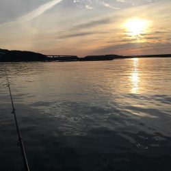 シマアジ1匹、メッキ6匹、アイゴ2匹