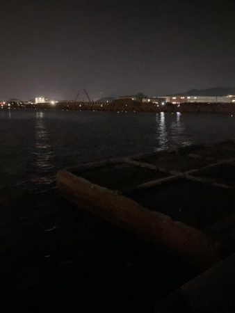 タチウオ元気いっぱい！