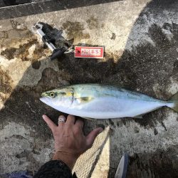 お昼のガラガラ神戸空港、ハマチ&大物ヒット