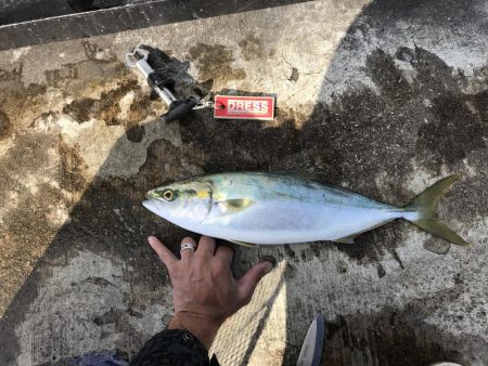 お昼のガラガラ神戸空港、ハマチ&大…