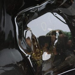 ファミリーフィッシング6