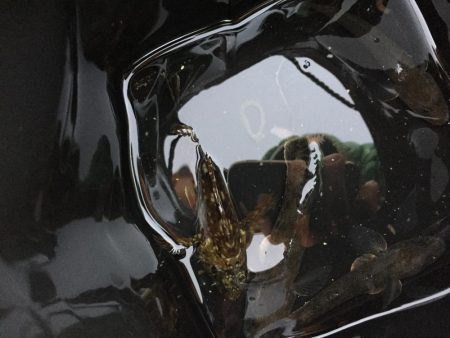 ファミリーフィッシング6