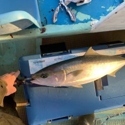 名田屋さんで飲ませ＆ガシラ釣り