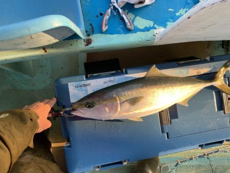 名田屋さんで飲ませ＆ガシラ釣り