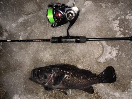 久々の釣りは、、、