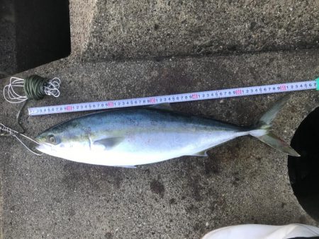 初めて納得のサイズ