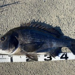 イチノ兄弟、釣果！