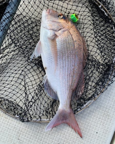 晴天のタイラバ釣行