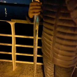 いきなりガツンと