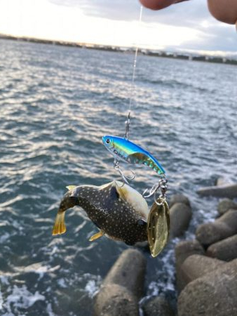 渋い　釣り納め