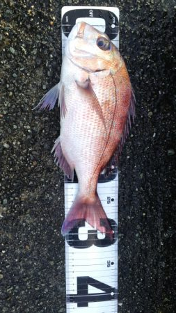 令和二年最終釣行