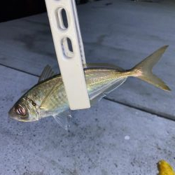 アジング、そしてショアジギング