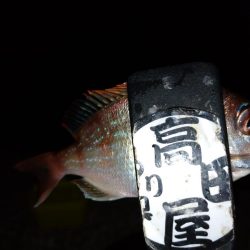 少しだけちょい投げ