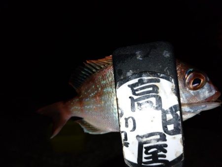 少しだけちょい投げ