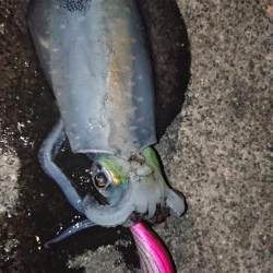 価値ある一杯！