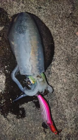 価値ある一杯！