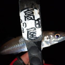 今夜もちょい投げ