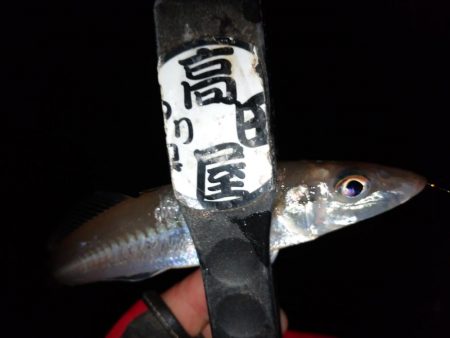 今夜もちょい投げ