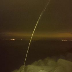 久々のガッシー