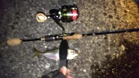 月が出るまでが勝負