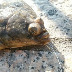 ひったくる当たり