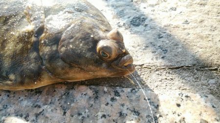 ひったくる当たり