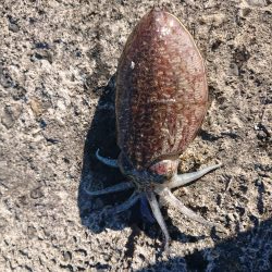 そろそろ終わり？