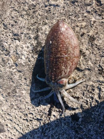 そろそろ終わり？