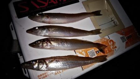 東二見・江井ヶ島釣行