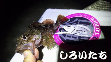 ２時間の釣行。