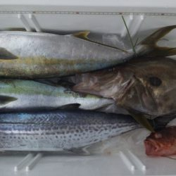 ジギング五目釣り