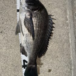 イチノ兄弟、釣果！