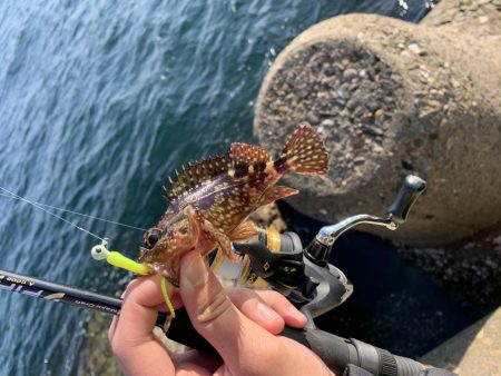 相変わらずの…