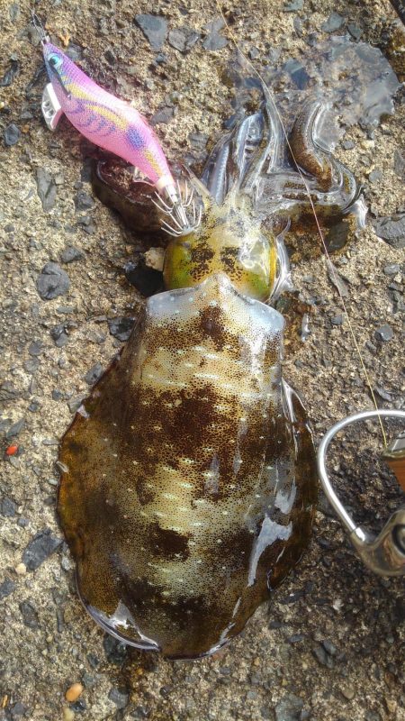 荒れています❗