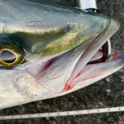 水面の魔術師！やっぱりトップはやめられない！