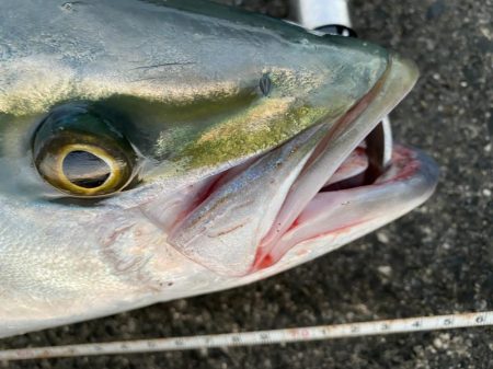 水面の魔術師！やっぱりトップはやめられない！