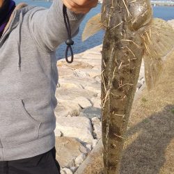 フラットフィッシュゲームNo.4