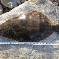 フラットフィッシュゲームNo.6