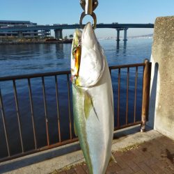 やっぱりスプーンが好きかも