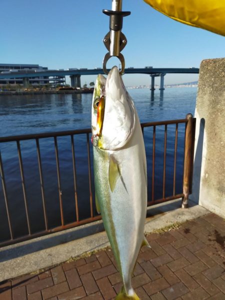 やっぱりスプーンが好きかも