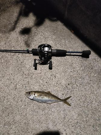 ニュータックルのシェイクダウン