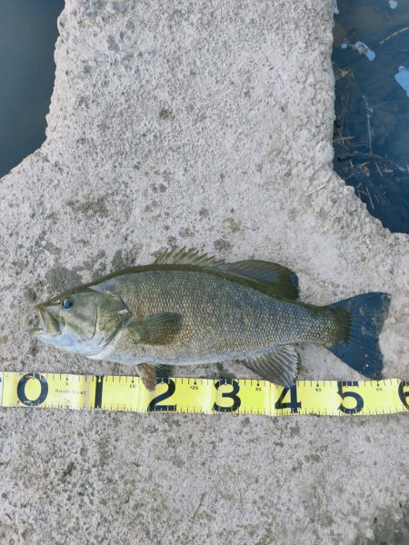 最高の釣り納め