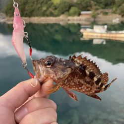 フラッシングフックをアジングで!