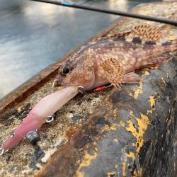 ボトムでアラカブのRIDE ON!!