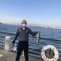 コスモ　昼にサゴシ